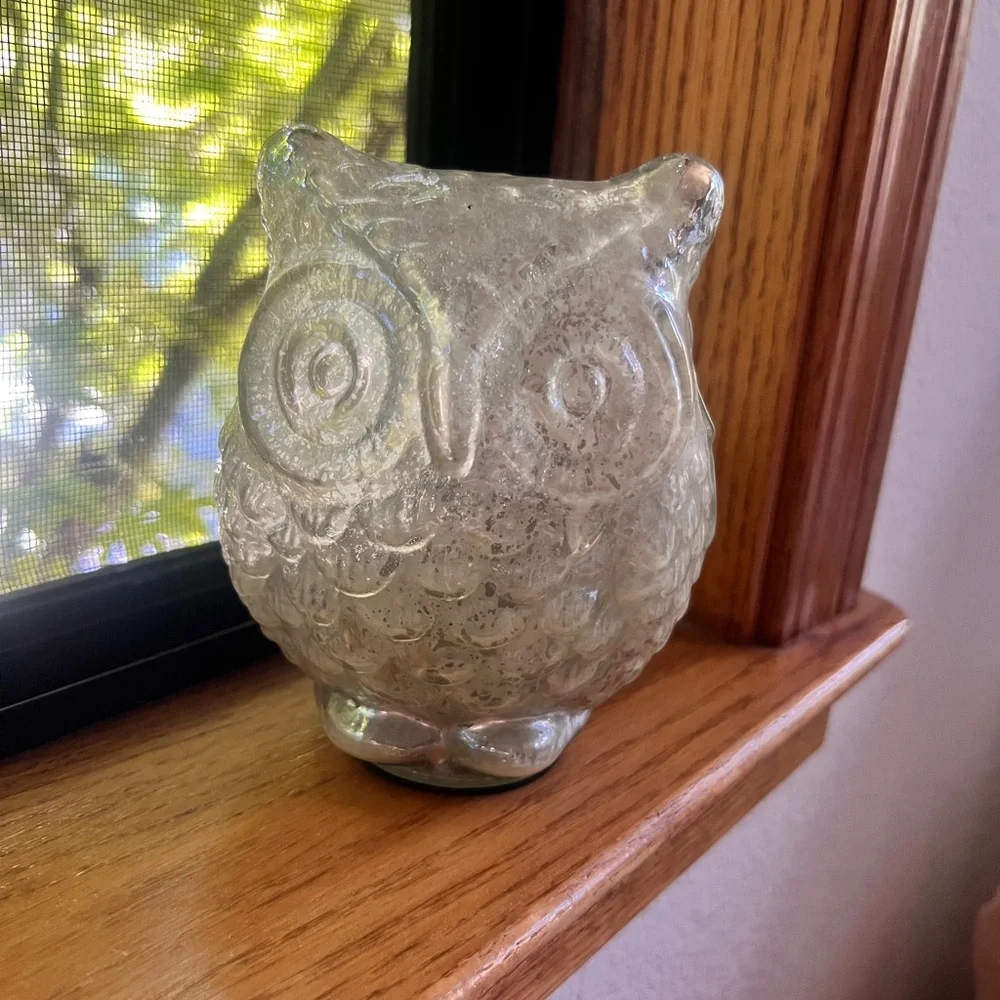 Clear Glass Owl Figurine Decorative Sculpture - Picture 1 of 3